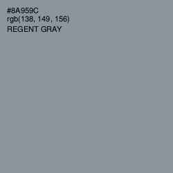 #8A959C - Regent Gray Color Image